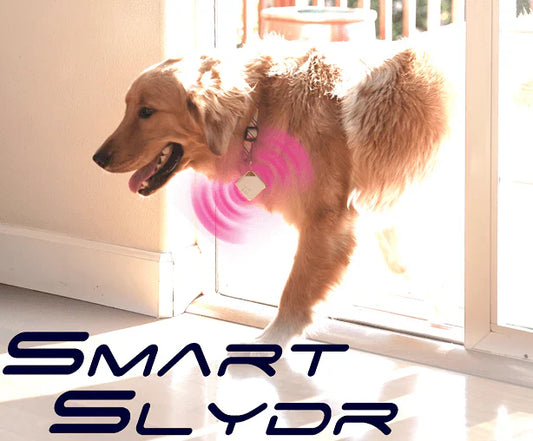 Automatic Pet Door Opener: A Must-Have For Every Pet Owner