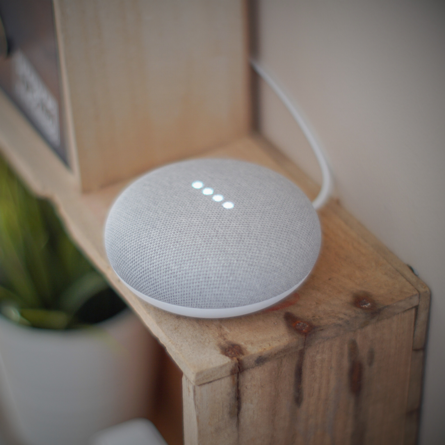 Hands-free SmartSlydr pet door operation with Alexa and Google Assistant—perfect for smart home pet owners.