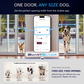 SmartSlydr – Smart Pet Door