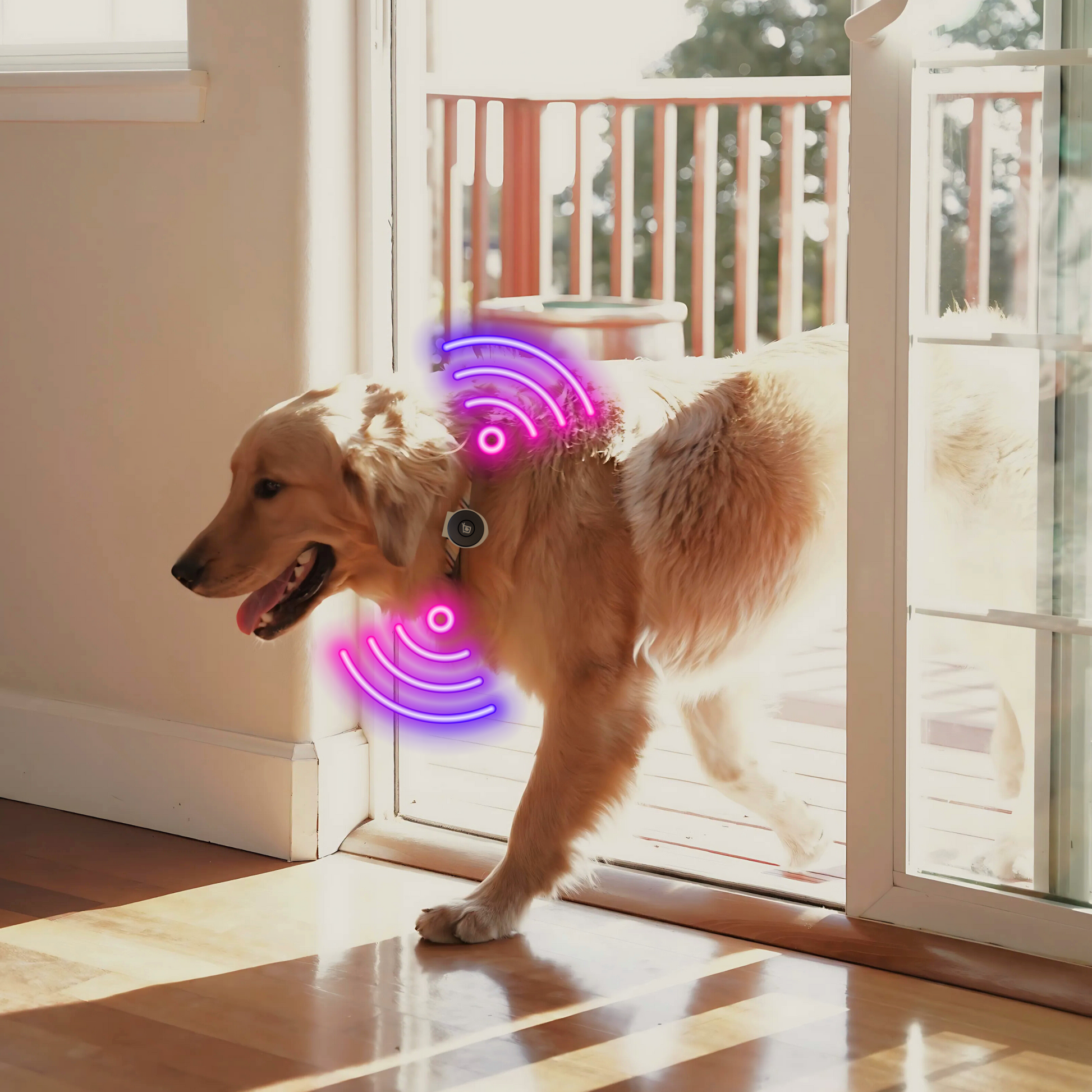 SmartSlydr PetPass Pet Door