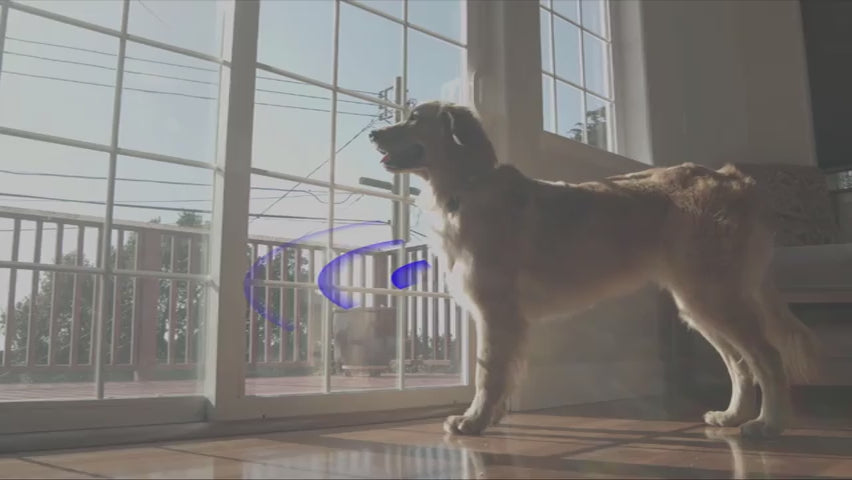 SmartSlydr with PetPass replaces dog walkers by giving pets safe, independent access. Features smart lock security and an automatic sliding door opener for modern homes.