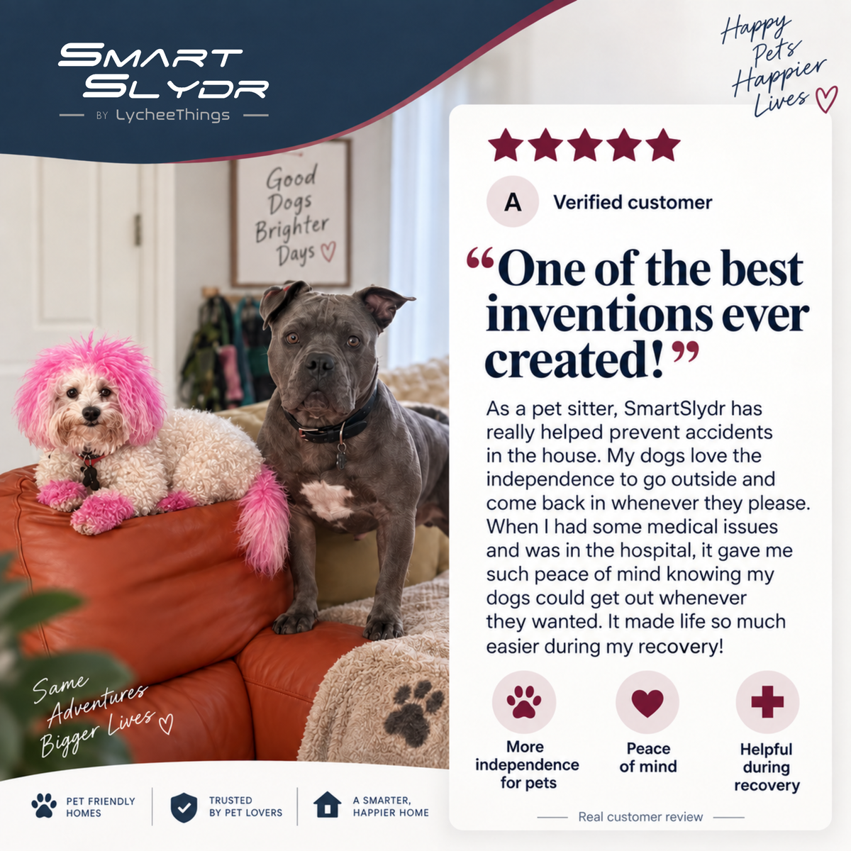 5-star SmartSlydr review — 'one of the best inventions ever created,' praised by a pet sitter for pet independence and peace of mind